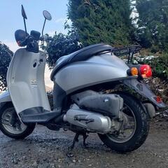 原付🛵HONDAトゥディ－50通勤通学配達❗配送可能‼️早い者勝ちの画像