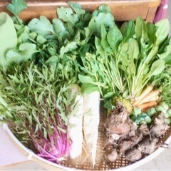 3/26(土)3/27(日)限定のお野菜①+コシヒカリ