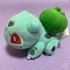 ポケモン❗️フシギダネ🌱ぬいぐるみの画像