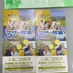 最終お値下げ　今月いっぱい　マザー牧場のチケット２枚