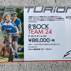 CENTURION MTB 24インチ　ジュニア