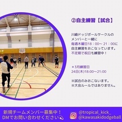 ⭐️シニアドッジボールチーム『トロピカルキック』新規経験者メンバー募集⭐️ - メンバー募集