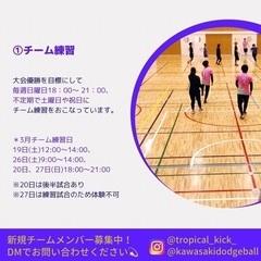 ⭐️シニアドッジボールチーム『トロピカルキック』新規経験者メンバー募集⭐️ − 神奈川県