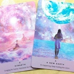 オススメを教えてください🕊