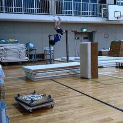 津久井浜体操教室の画像