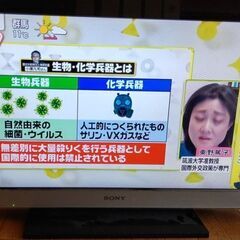 SONY BRAVIA 32インチの画像