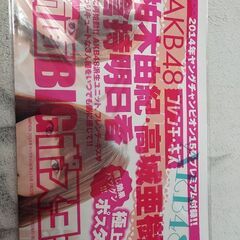 ヤングチャンピオン