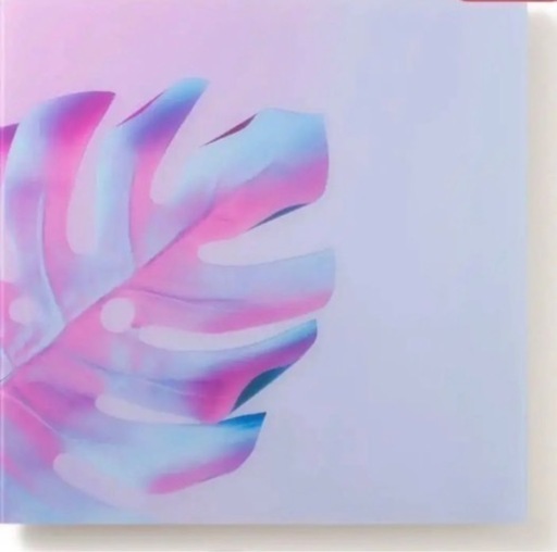 大人気のフランフラン　アートパネル　買ったばかり