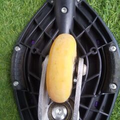 エスボードの画像