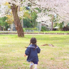 毎年大好評！桜フォト撮影会２０２２＜３月２７日・３月２９日＞