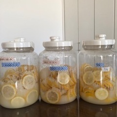 発酵•料理教室🍋の画像