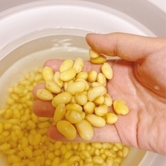 発酵•料理教室🍋の画像