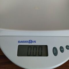 【受付中止】ベビースケールの画像