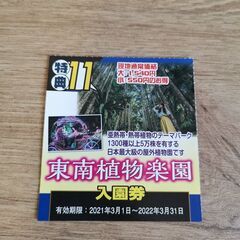2枚 イルミネーション 沖縄東南植物楽園 入園券