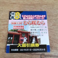 沖縄体験王国むら咲むら　入園券2枚