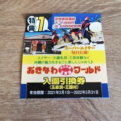 オキナワワールド　入園券2枚
