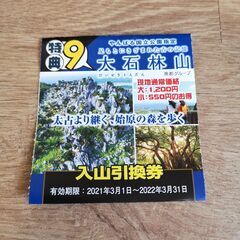 大石林山　入山券2枚