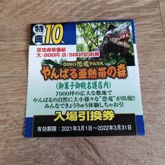 2枚 DINO恐竜PARK やんばる亜熱帯の森 入園券2枚