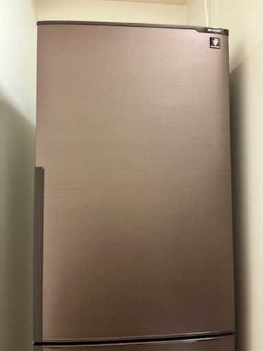 冷蔵庫　SHARP ブラウン　プラズマクラスター　搬送手伝います　270ℓ カップル　家族