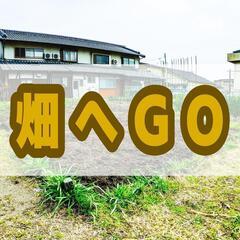 【吹田市山田にて】畑で野菜を育てよう！