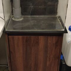オーバーフロー水槽 45x30x30