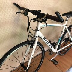 ビアンキ ローマⅡ 白色の画像