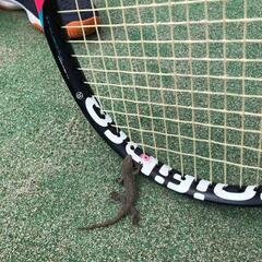 メンバーたりませ〰️ん🎾
