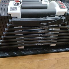 【新品未使用】FIELDOOR 可変式 クイックダンベル/ブロックダンベル 40.5kg アジャスタブルダンベル パワーブロックの画像