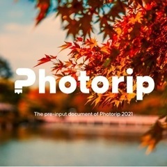 Z世代デザイナーKeiのはじめてデザイン教室の画像