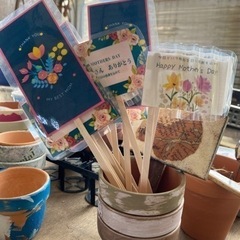 母の日★多肉寄せ植えの画像