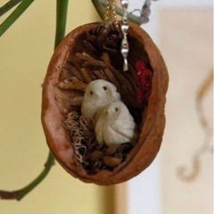 クルカラgの画像