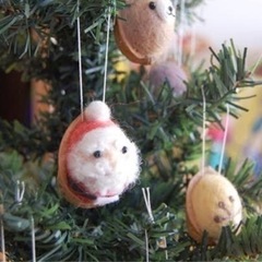 クルカラgの画像