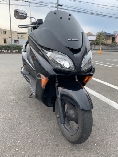 フォルツァ mf08 後期