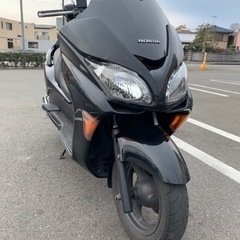 フォルツァ mf08 後期