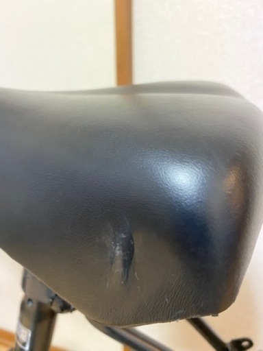 《半額！》折りたたみ電動アシスト自転車 20インチ6段変速【PELTECH(ペルテック) 】