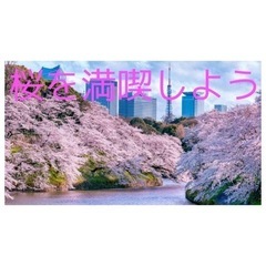 🌈🌸😆お花見の季節きました😆🌸🌈桜を見ましょう🌸