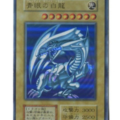 遊戯王を一緒に遊んでくれる仲間を募集しています。