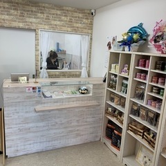 トリミングスタッフ募集中☆☆☆