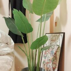 観葉植物　フェイク　ストレリチア