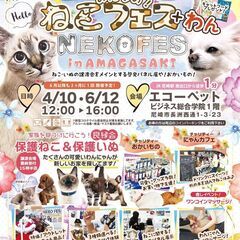 ○o*〜みんなの譲渡会〜ねこフェス+わんin尼崎*o○☆