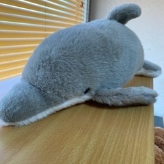 イルカのぬいぐるみ