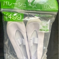 新品未使用！17cm バレーシューズ　上履き　室内履き