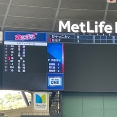 埼玉県土曜日野球