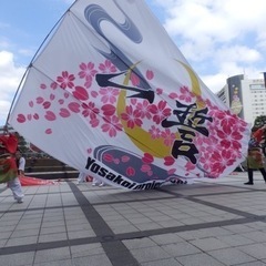 ✨この記事を見つけた貴方✨今がチャンスです‼️よさこいダンスチームで青春し続けて見ませんか👍 − 愛知県