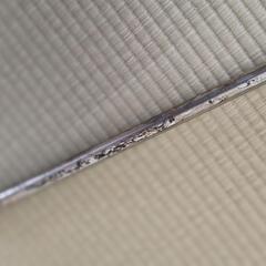 【無料】物干し竿の画像