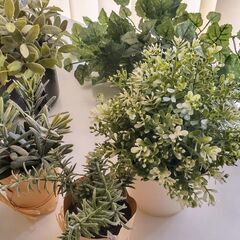 フェイクグリーン6個セットの画像