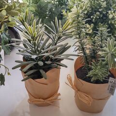フェイクグリーン6個セットの画像