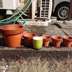 決まりました！！植木鉢たくさん(中古品)