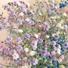 キッチン用品セット　お菓子作りセット