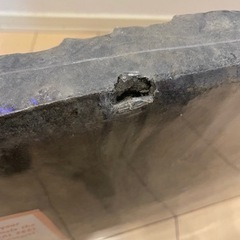 水槽　バックスクリーン　爬虫類の画像